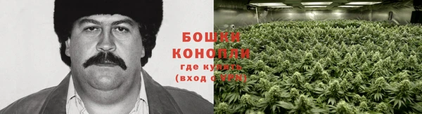 бутик Богданович