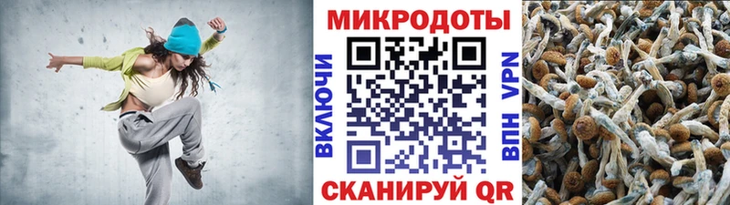Галлюциногенные грибы прущие грибы  Купить  Гусь-Хрустальный 